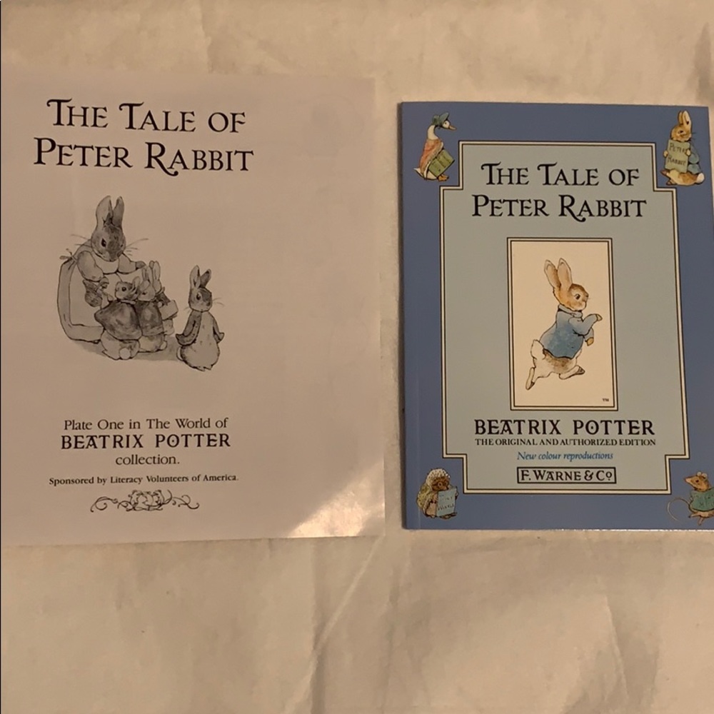PLATE #1 Davenport Pottery The Tale Of Peter Rabbit Beatrix Potter Limited Plate - Picture 6 of 8